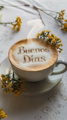 Inspírate con mensajes de buenos días con café que llenarán tu mañana de energía 🌞. Visita nuestra web para encontrar frases perfectas y darle un toque especial a tus días. ¡Haz clic aquí para inspirarte!