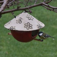 a bird feeder hanging from a tree branch