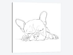 a black and white drawing of a dog laying on the ground with its head down