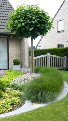 the front yard is neatly trimmed and ready to be used as a flower bed or planter