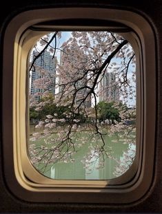 the view from inside an airplane window looking at trees and flowers in bloom, with skyscrapers in the background