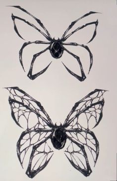 two black and white drawings of butterfly wings