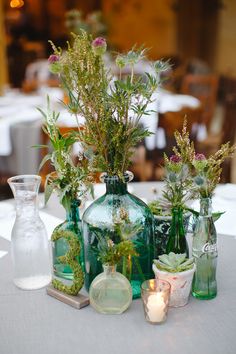 there are many vases with plants in them on the table