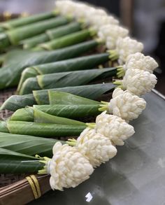 white flowers are arranged on top of green leaves in a row, along with bamboo stalks