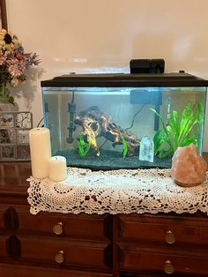 a fish tank with candles, rocks and plants in it on a lace tablecloth