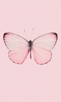 a pink butterfly flying through the air