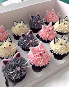 cupcakes decorated with icing in the shape of cats and kitten heads are on display