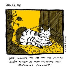 a drawing of a cat laying on top of a yellow blanket in front of a window