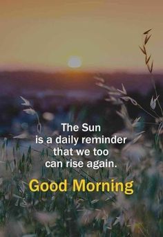 the sun is a daily reminder that we too can rise again good morning