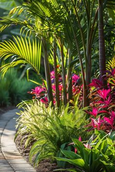 colorful tropical plants line the walkway in this garden