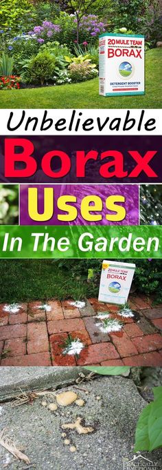 an advertisement for borax uses in the garden