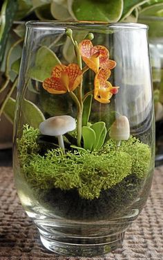 a glass vase filled with plants and mushrooms