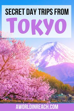 the words secret day trips from tokyo with cherry blossom trees in front of a mountain