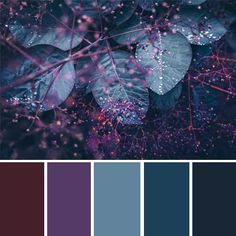 purple and blue color palette with leaves