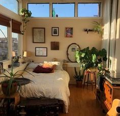 a bed sitting in a bedroom next to a window with lots of plants on it