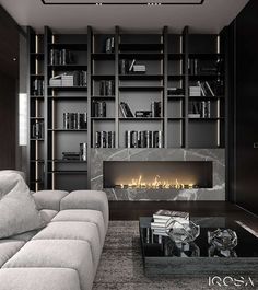 modern living room with fireplace and bookcases