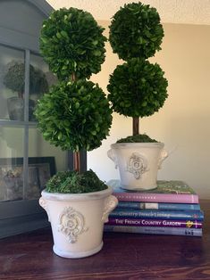 two potted plants sitting on top of a table next to books and a window