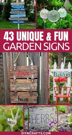 some wooden signs that are in the grass