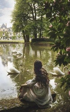 a woman is sitting on the bank of a lake surrounded by swans