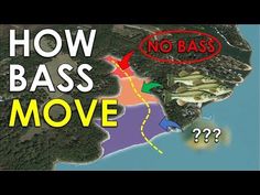 a map with the words how bass move?