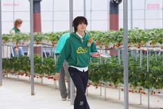 a young man holding a tennis racquet on top of a tennis ball court