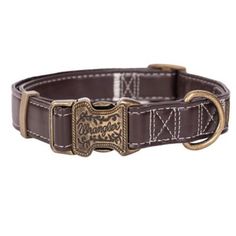 a brown dog collar with gold buckles and an ornate design on the front of it