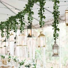 the tables are set with white linens and greenery hanging from the ceiling above them