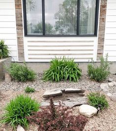 some plants and rocks in front of a house with a window on the side walk