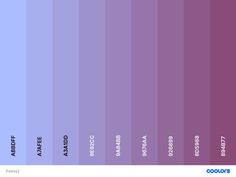 an image of the color purple with different shades and names in each section on it