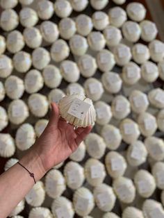 a hand is holding a shell in front of some cupcakes