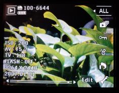 a close up of a screen with plants in the foreground and an arrow pointing to it