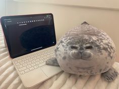 a stuffed seal sitting next to a laptop computer