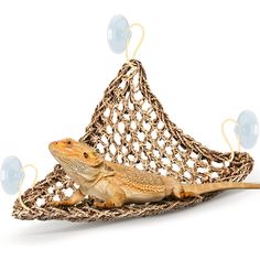 a small lizard sitting on top of a piece of woven material with bubbles coming out of it