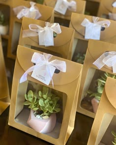 small boxes with succulents in them are on display for the guests to take home