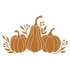 pumpkins and leaves on a white background