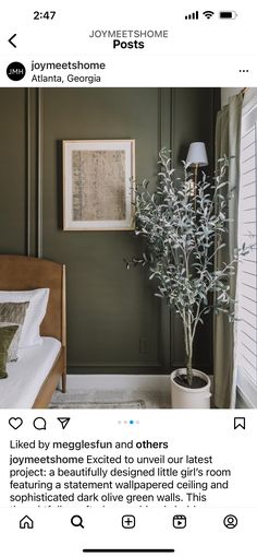 an image of a bedroom with green walls