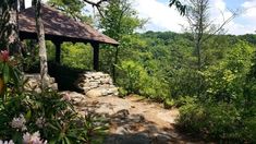 a gazebo in the middle of a wooded area