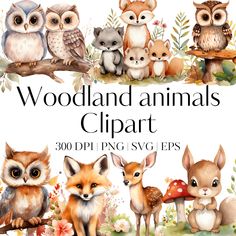 the woodland animals clipart is available for all ages to use on crafts and cards