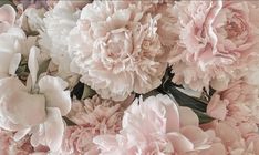 a bunch of pink peonies are arranged together