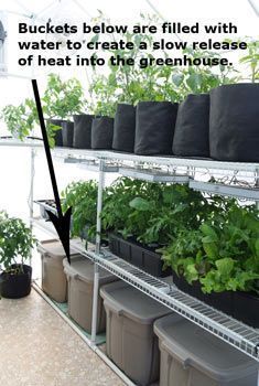 some plants are growing in pots on shelves