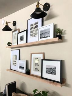 some framed pictures are hanging on the wall next to a lamp and potted plant