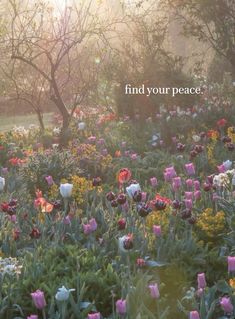 a field full of flowers and trees with the words find your peace written on it