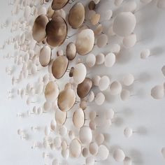 a white wall with many circular objects hanging on it