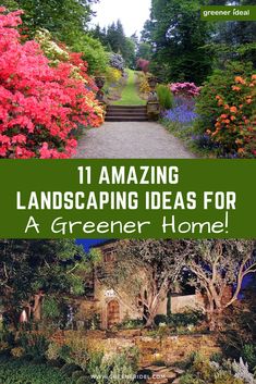 landscaping ideas for a greener home