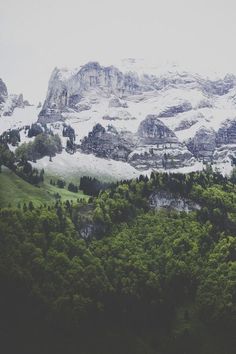 the mountains are covered in snow and green trees