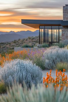 a house in the desert with flowers and bushes