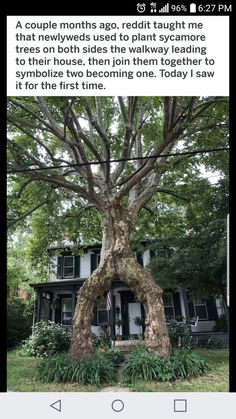 a tree that is in front of a house with the caption saying it's not