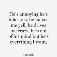 a quote that says he's annoying he's hilarious, he makes me yell, he drives me crazy, he's out of his mind but he's everything i want