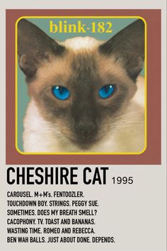 a cat with blue eyes is on the back of a sign that reads, blink - 822 cheshire cat