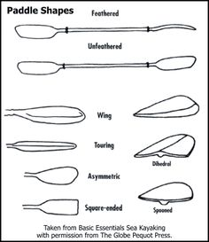 paddle shapes are shown in black and white, with the words paddle shapes below them